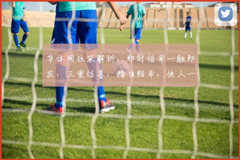 华体网独家解析，即时倍率一触即发，三重惊喜，精准赔率，快人一步
